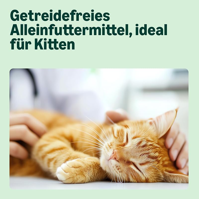 Katzenfutter komplett mit getreidefreiem Rezept Kätzchen mit frischem Huhn 3kg