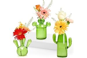 XXXFLOWER Cactus Plant Propagation Station Terrarium Jars for Plant Cuttings Air Plant Holders Unique Glass Flower Vase for Hydroponics Plants for Plant Lovers Home Garden Decor