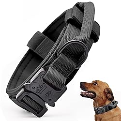 Tactical Dog Collar, Adjustable Military Training