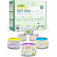 Purple Ladybug DIY Candle Making Kit for Adults - Craft Your Own 6 Aromatherapy Candles with Relaxing Eucalyptus…