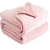 Cottonblue Sherpa Fleece Weighted Blanket 20lbs for Adults, Fluffy Cozy Plush Blanket 20 pounds, Queen Size Weighted Blankets 60”x80”, Warm and Cozy Hug Blanket for Queen/King Size Bed, Blush Pink
