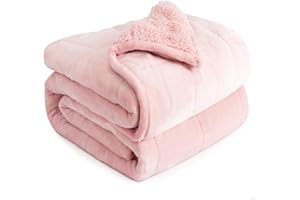 Cottonblue Weighted Blanket Queen Size 15lbs, Sherpa Weighted Blankets for Adults, Fuzzy Soft Flannel Bedding Blanket Throw, Cozy Plush Blanket for Sofa Bed, 60 x 80 inches, Blush Pink