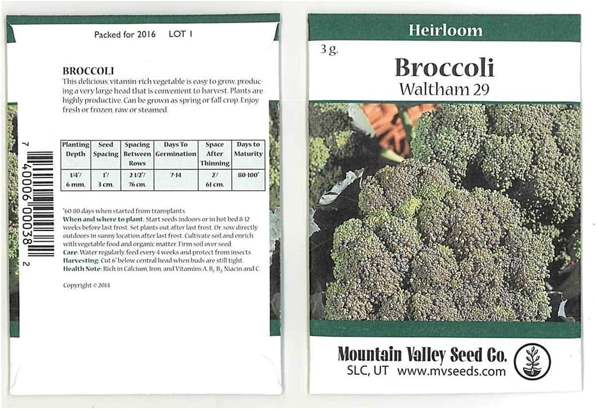 Plantree Waltham 29 Broccoli Seeds - 3 G Packet - Non-GMO Heirloom - Vegetable Garden