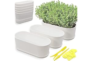 Torfican 20 Set Window Herb Planter Box Rectangular,8.5x3.5 Inch White Plastic Planters with Multiple Drainage Holes and Trays,Indoor Succulent Cactus Mint Flower Pot for Windowsill,Garden Balcony