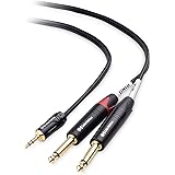 Cable Matters 3.5mm TRS to Dual 6.35mm TS Breakout Cable, 1/8 to Dual 1/4 Cable - 6 Feet