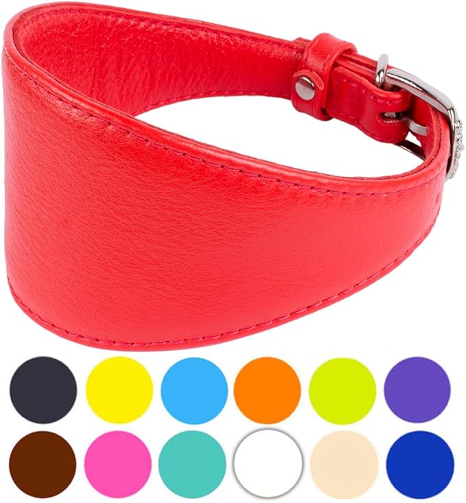 lurcher collars amazon