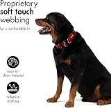 EzyDog Double Up Dog Collar Reflective ID Tag D-Ring Small to Large view 4