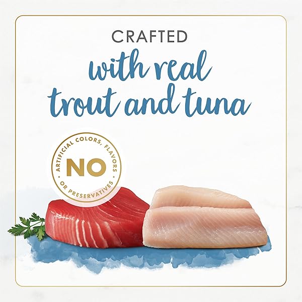 PURINA FANCY FEAST GRAIN FREE WET CAT FOOD PATE GOURMET NATURALS TROUT AND TUNA RECIPE – (PACK OF 12) 3 OZ. CANS