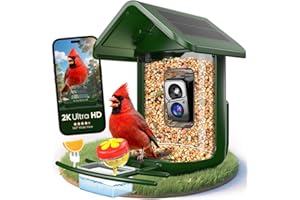 VIUBIRD Bird Feeder with Camera Solar Powered - Smart Bird Feeder Camera 2K HD Live Stream, 5MP Photos, AI Identification for Backyard, 2.4Lb Large Capacity, Gifts for Mom Dad, Green