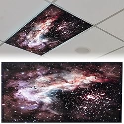 Patelai 4 x 2 Feet Fluorescent Light Cover for