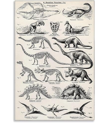 Amazon.com: Posterazzi Dinosaur Attack Poster Print by John