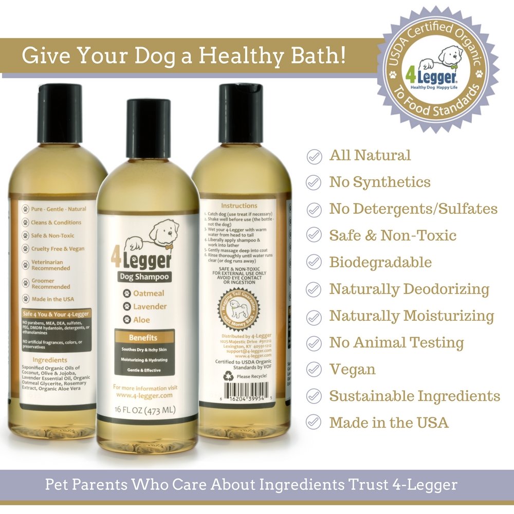 Best Shampoo for Husky Get the Best Care for Your Husky The Pet Town