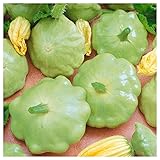 Everwilde Farms - 1/4 Lb Bennings Green Tint