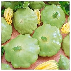 Everwilde Farms - 1/4 Lb Bennings Green Tint