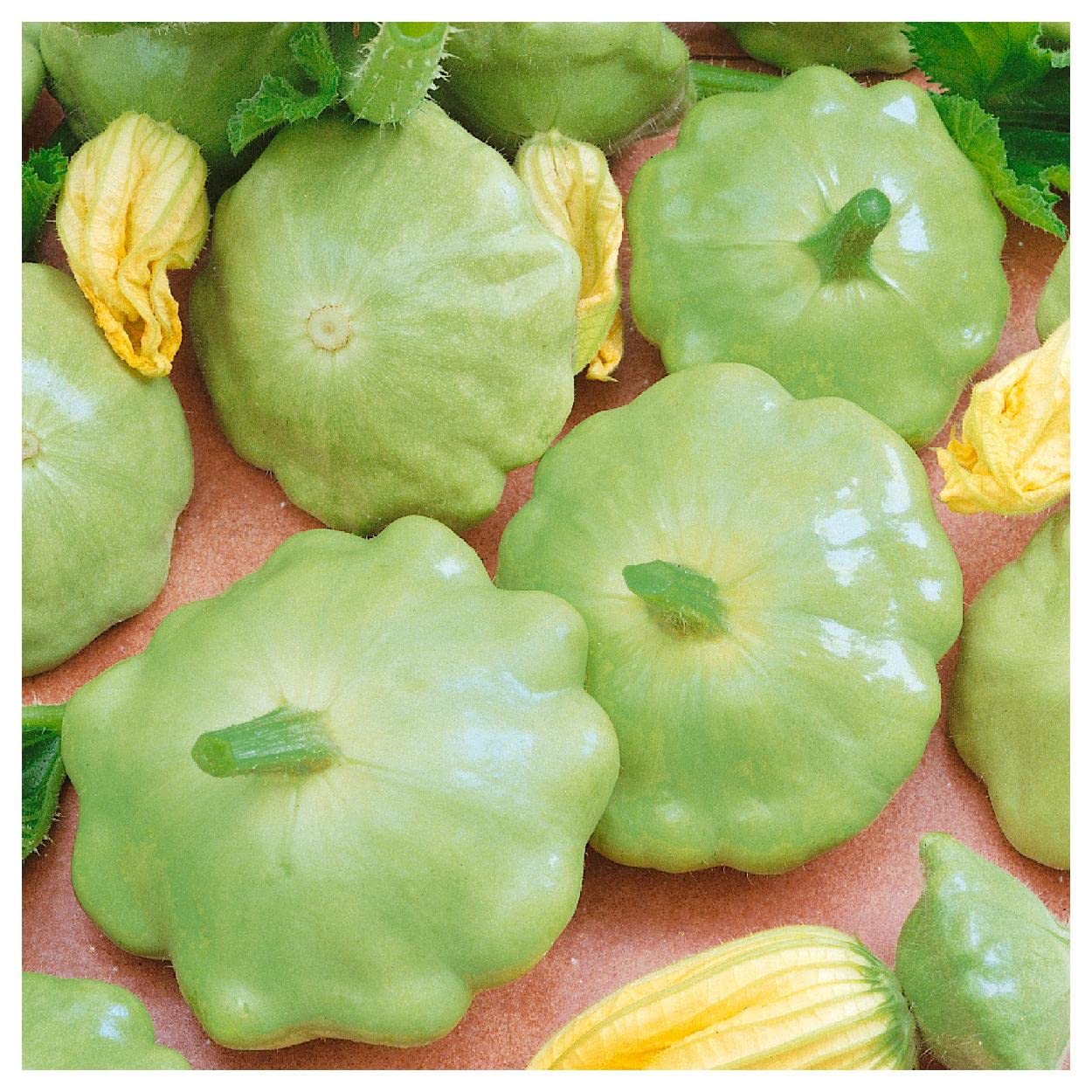 Everwilde Farms - 1/4 Lb Bennings Green Tint