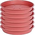 OVZILKI 6 Pack of Plant Saucer Tray 11 12 inch, Heavy Duty Plastic Pot Plant Drip Trays Saucers for for Indoors Outdoor, Plant Water Tray for Planters 11-12" (12", Clay)