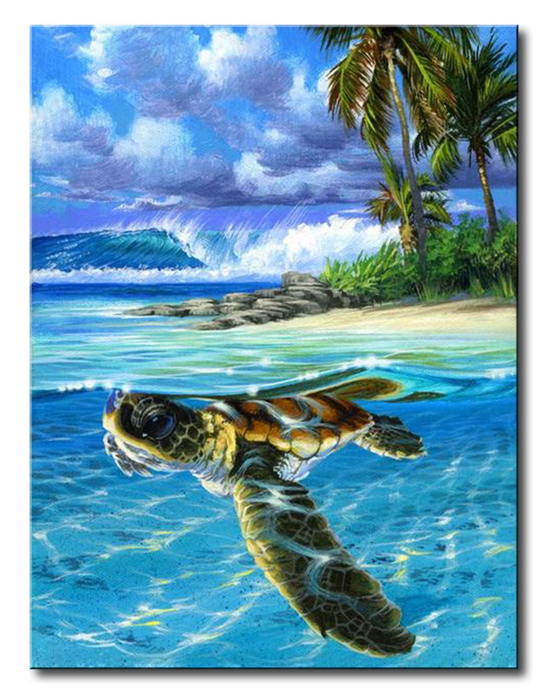 Shukqueen Paint by Number, DIY Oil Painting for Adults, Beginner's, 16X20 Inch, Frameless