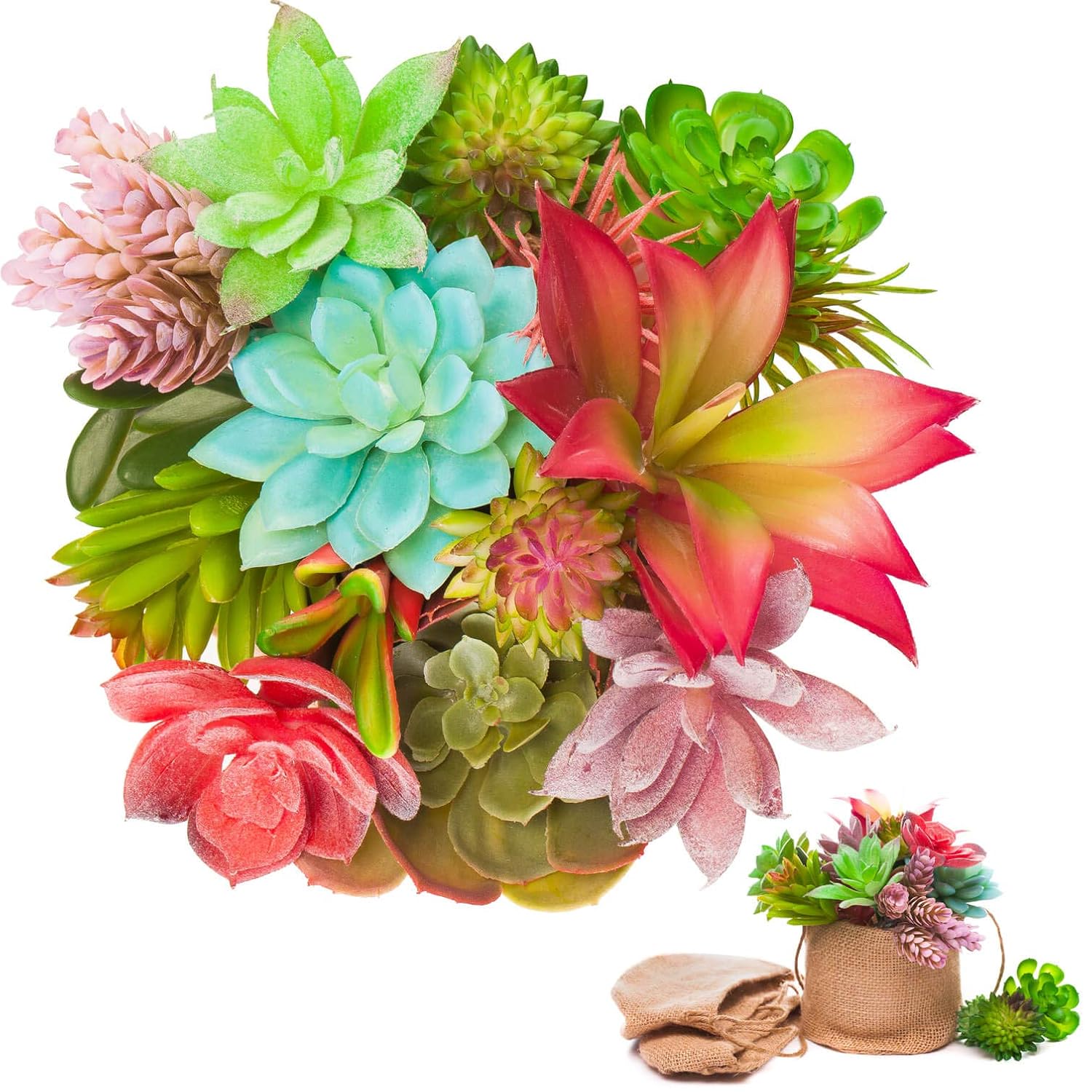 Best live plants for living room