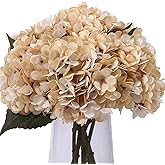 Blooming Paradise 5PCS Artificial Silk Hydrangea Flowers Vintage Fake Bouquet Plants Faux Hydrangea Flower with Stems and Leaves for Wedding Party Home Kitchen Table Centerpiece Decoration(Cream)