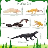 toymany 12PC Reptile Animal Figurines Set Cold Blooded Amphibians Jungle Lizard view 5