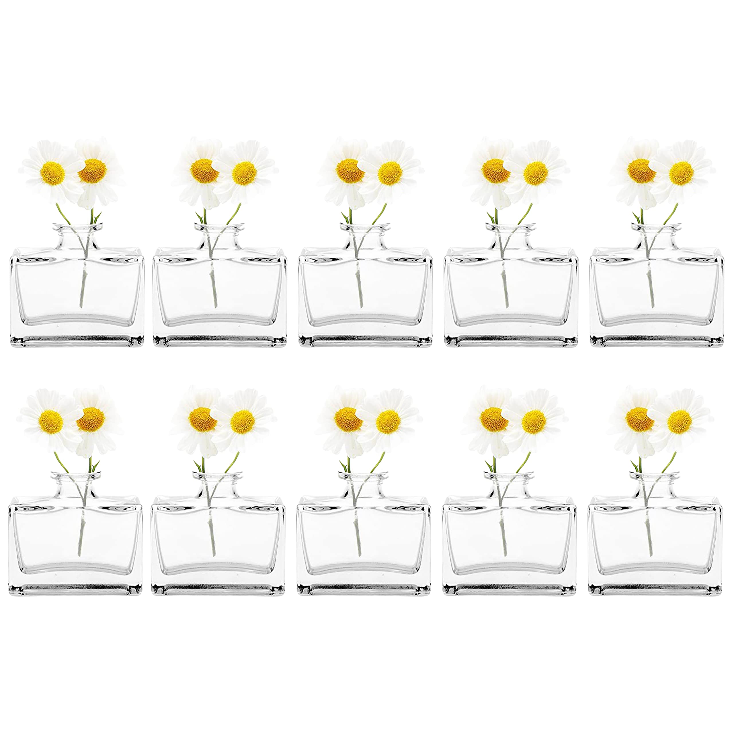 Chive ‘Loft’ Small Flower Vase — Cute, Beautiful Glass Vase for Flowers & House Plants — Set of 10 — Rectangle