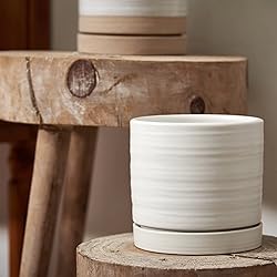HERDUK 6 Inch Plant Pots, Ceramic Planter Pot with