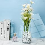 Hisredsun 290pcs White Glass Pebbles 1.35kg Vase Filler Stones view 3