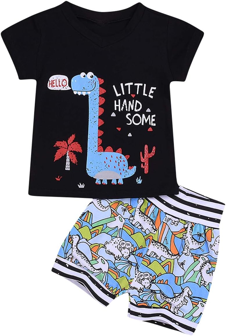 Borlai 2pcs/Set Baby Boy Cotton Clothes Set Summer Dinosaur Outfits Cartoon T-Shirt and Shorts Set for 0-3 Years Old Boy Birthday Gift