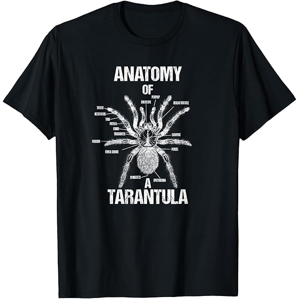 Amazon.com: Tarantula Pink Toe Tarantula Girl Spider T-Shirt