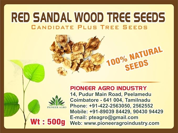 red sandalwood 1kg price