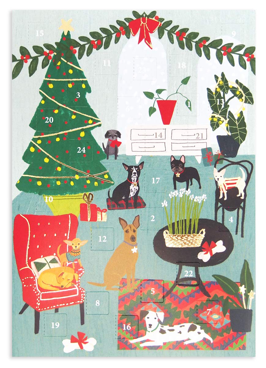 Roger la Borde Fox Cub's First Christmas Advent Calendar Card With White Envelope