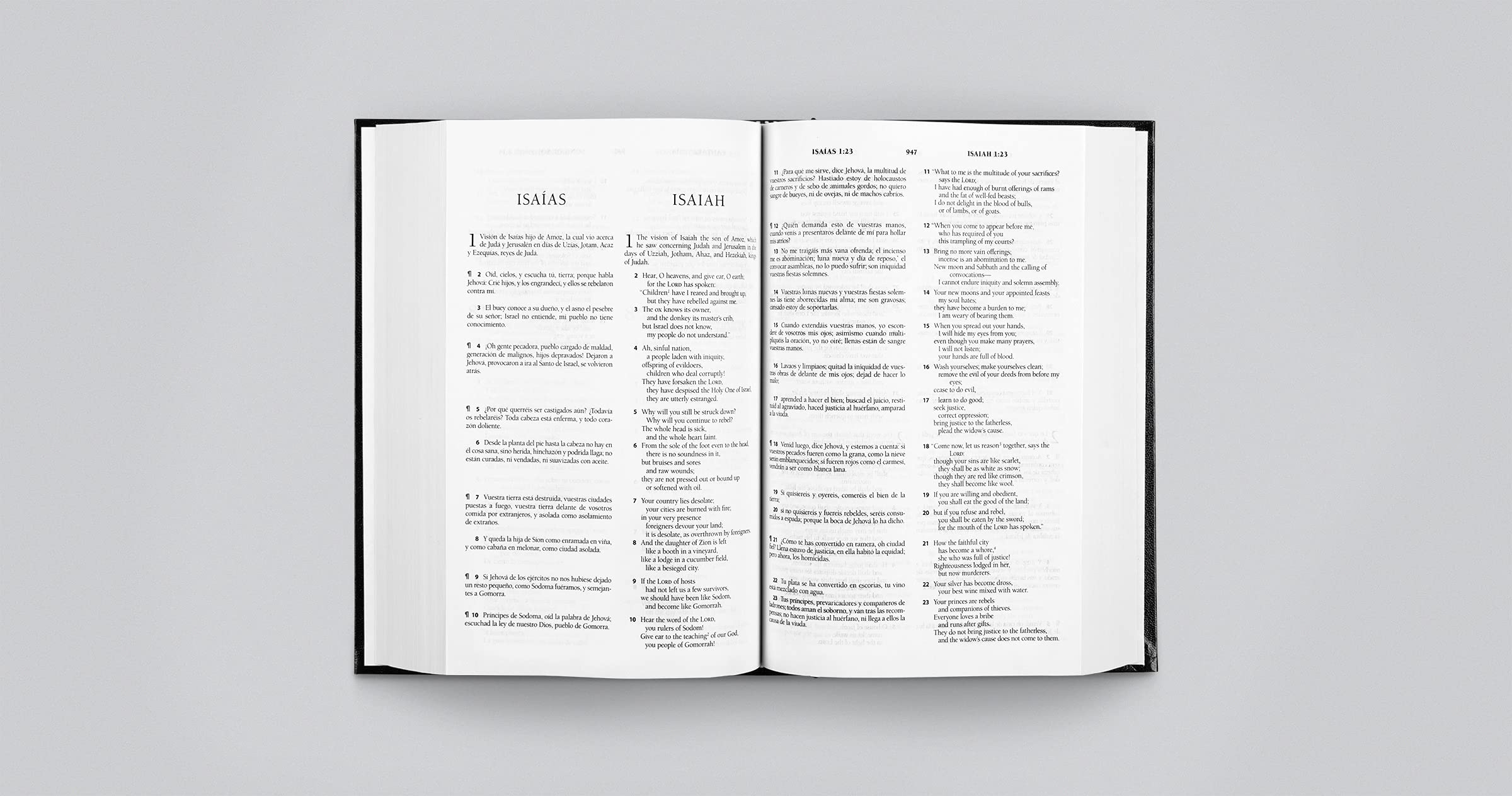 ESV Spanish/English Parallel Bible (La Santa Biblia RVR / The Holy Bible ESV) (English and Spanish Edition)