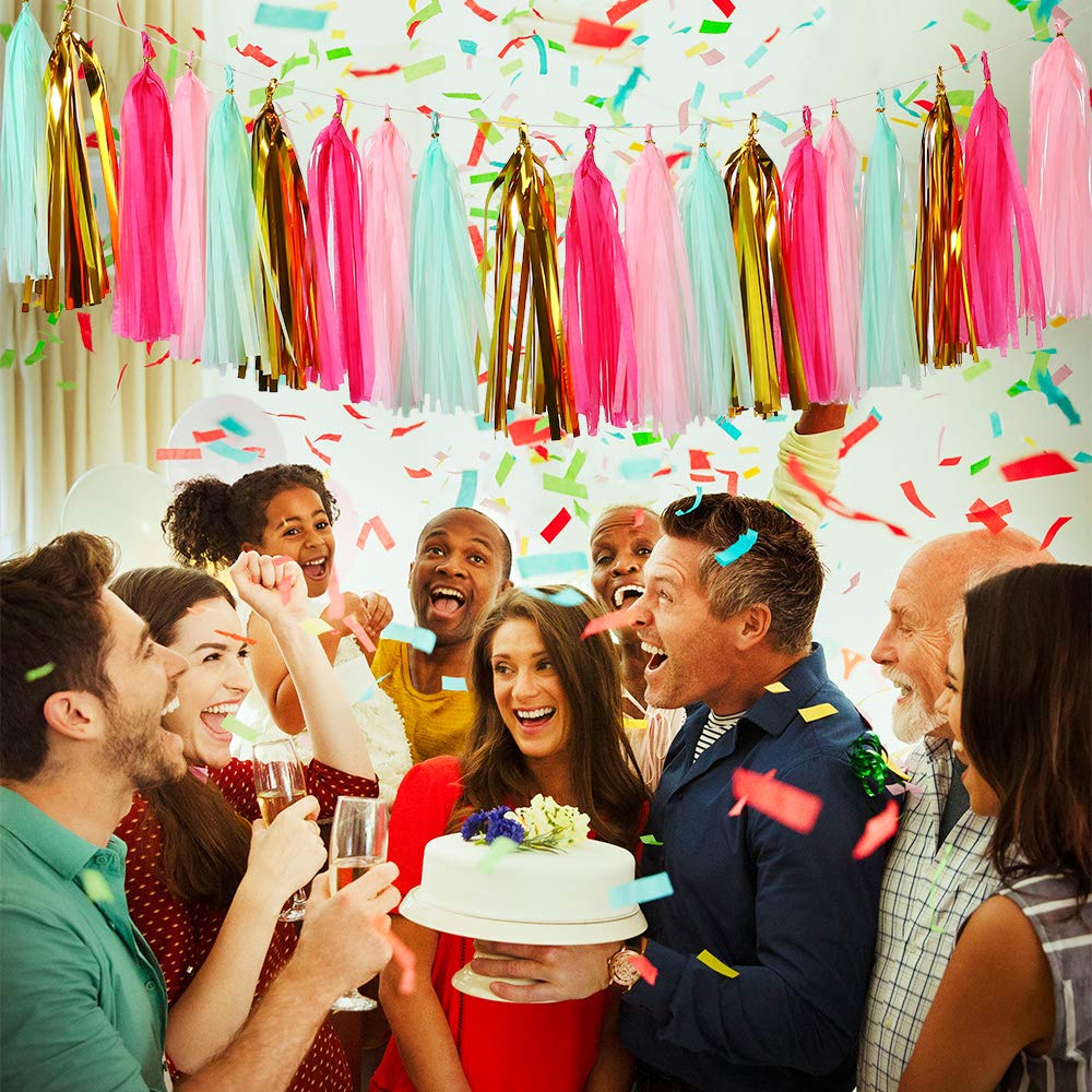 Bromose 20 PCS DIY Tissue Paper Tassel Party Garland, Fringe Garland Nursery Banner for Wedding, Baby Shower, First Birthday, Event & Party Decor