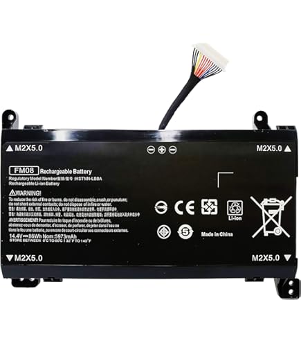 FM08