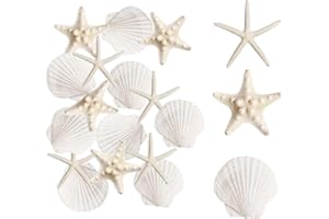 16PCS Starfish and Scallop Shells, Crafts 2.75"-3.93" Large Seashells, Bulk Mixed Star Fish Shell Decorations, Natural Sea Sh