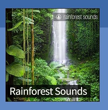 Tracks Of Nature Rainforest Sounds Amazon Com Music