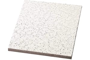 Armstrong World Industries BP769A Acoustical Ceiling Panel 769A Cortega Square Lay in (12 per Case), 24" x 48" x 5/8"