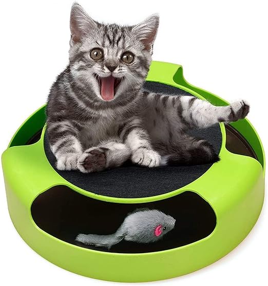 mouse hunt cat toy amazon