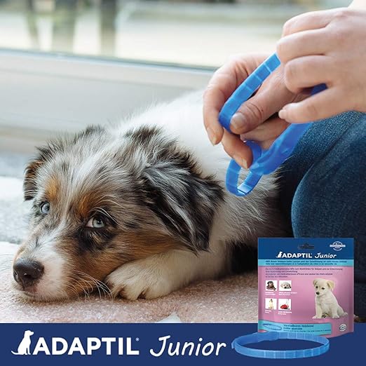 Adaptil junior reviews Clearance