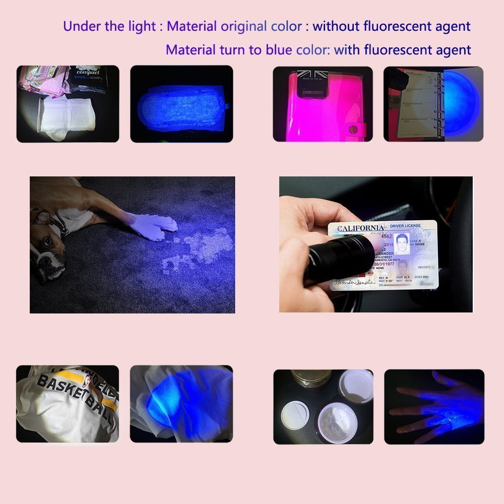 KMASHI 12 LED Pet UV Light Urine Stain Detector Blacklight Flashlight