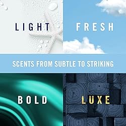 Febreze Air Freshener Spray, Unstopables Breeze