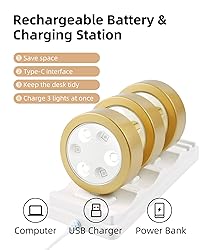 EZVALO Picture Lights for Wall with Charging