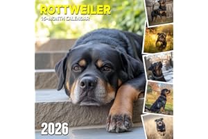 Rottweiler 2026 Calendar: Loyal protectors shown in strong and sweet poses