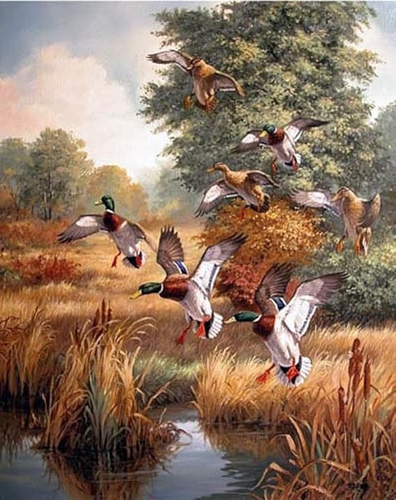 Wowdecor Paint by Numbers Kits for Adults Kids, Number Painting Ducks