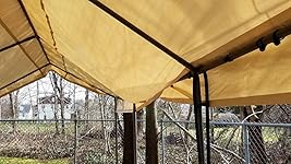 Review Image by gman gman