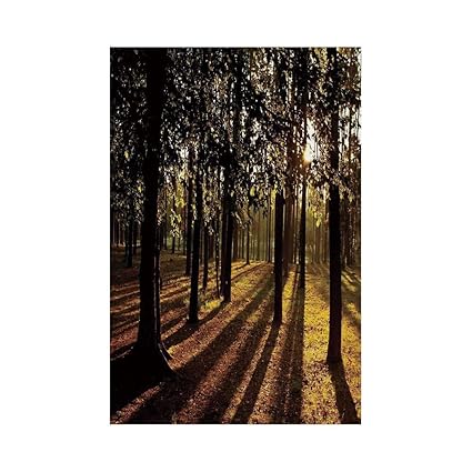 Amazon Com Polyester Garden Flag Outdoor Flag House Flag Banner