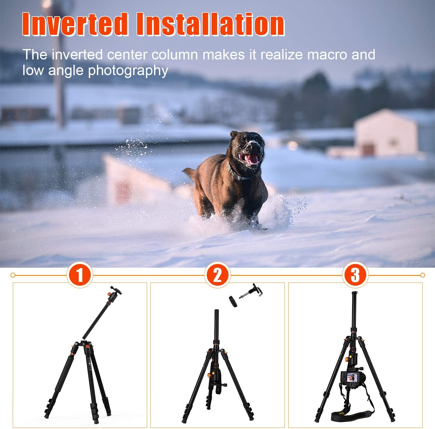 PHOPIK 77 Inches Tripod, Lightweight Aluminum Camera Tripod for DSLR, Photography Tripod with 360 Degree Ball Head 1/4" Quick Release Plate Professional Tripod Load up to 17.6 Pounds : Camera & Photo