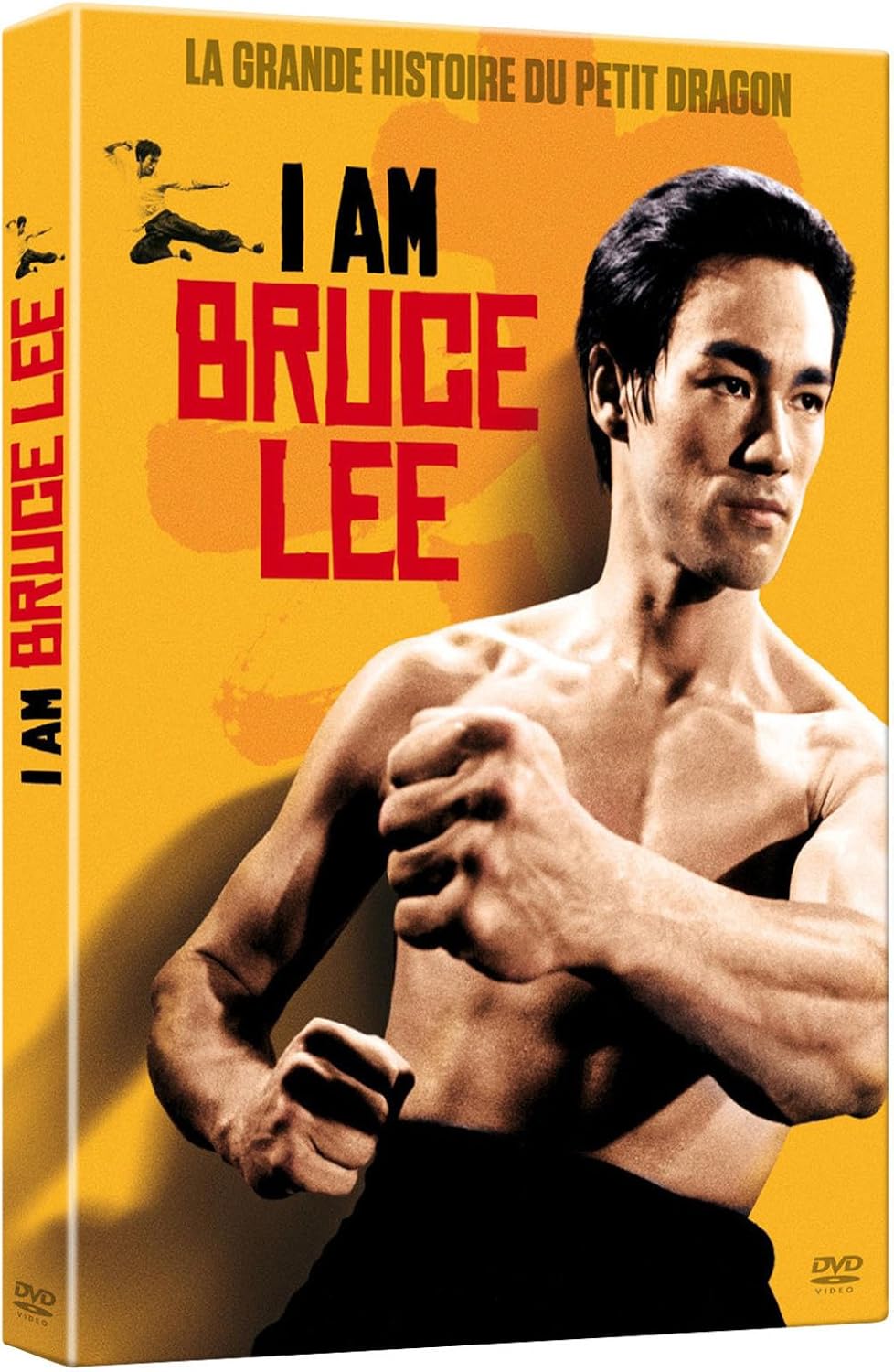 Pelicula De Bruce Lee Y Kareem Abdul Jabbar