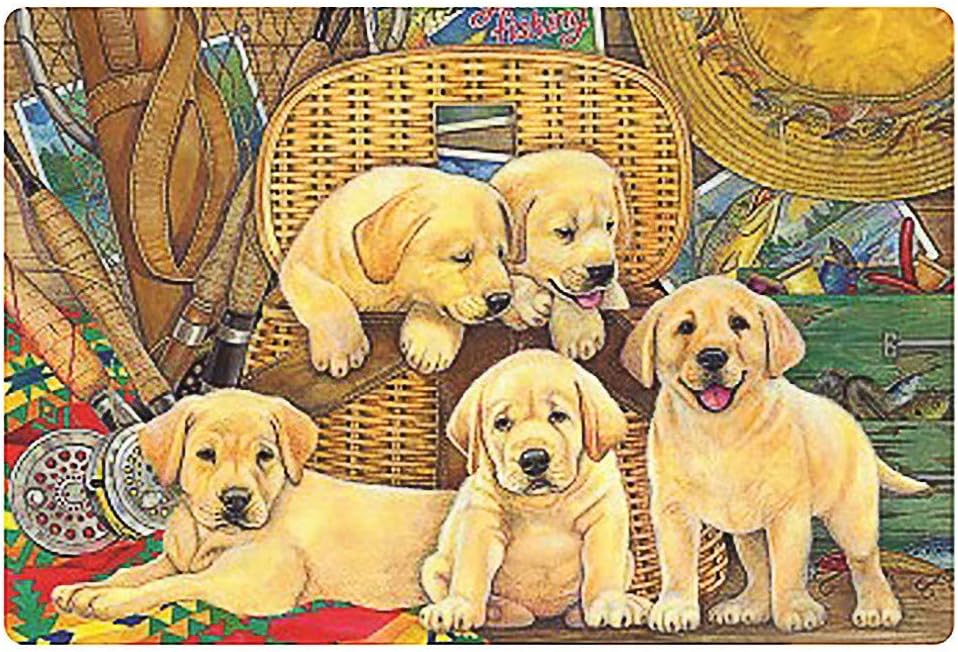 Nevera 1000 Piece Jigsaw Puzzle, Oil Painting Landscape Puzzle for Adults Family Wall Decoration Birthday Gift