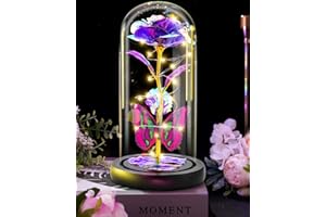 Otlonpe Valentines Day Gifts for Her, Romantic Forever Rose Flower Gifts for Girlfriend, Birthday Gifts for Women, Artificial Galaxy Glass Rose Flower Light Up for Mom Wife Sister Friend Purple